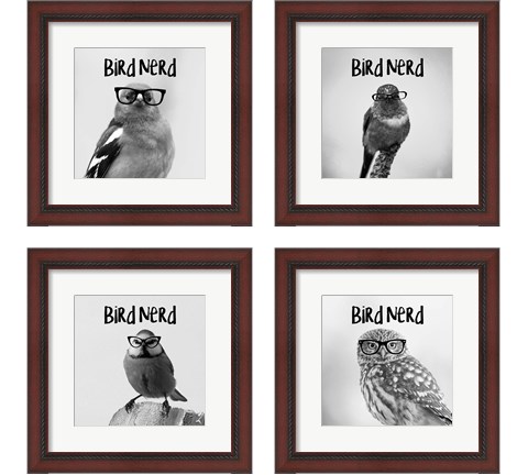 Bird Nerd 4 Piece Framed Art Print Set by Color Me Happy