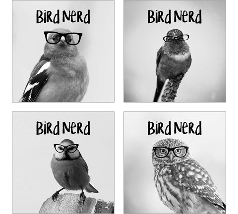 Bird Nerd 4 Piece Art Print Set by Color Me Happy