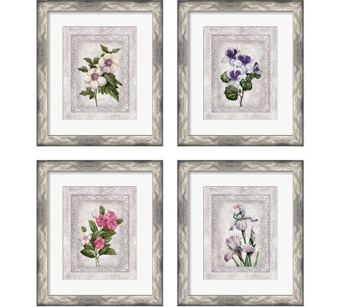 Floral 4 Piece Framed Art Print Set by Tom Wood