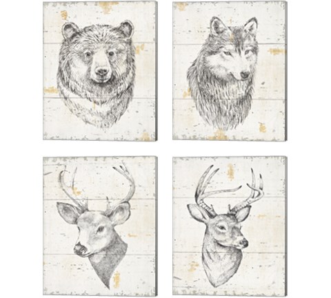 Wild and Beautiful 4 Piece Canvas Print Set by Daphne Brissonnet