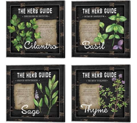 Herb Guide 4 Piece Canvas Print Set by Jennifer Pugh
