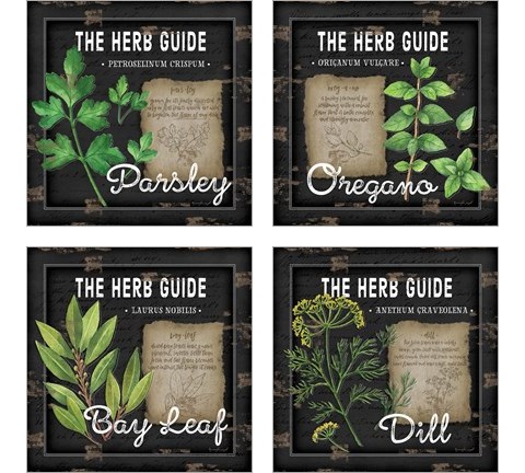 Herb Guide 4 Piece Art Print Set by Jennifer Pugh
