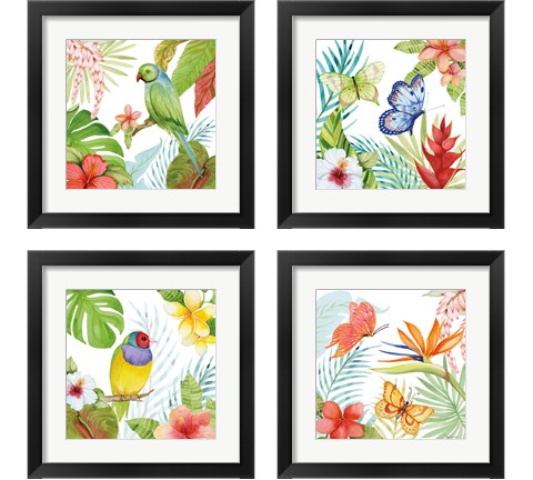 Treasures of the Tropics 4 Piece Framed Art Print Set by Kathleen Parr McKenna