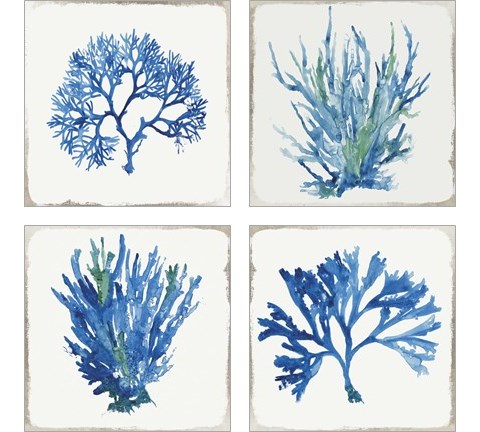 Blue and Green Coral  4 Piece Art Print Set by Aimee Wilson