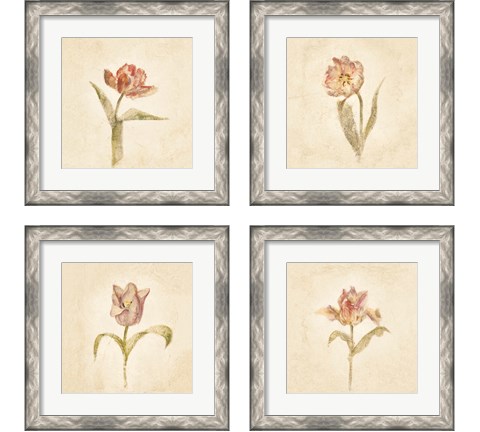Tulip on White 4 Piece Framed Art Print Set by Cheri Blum
