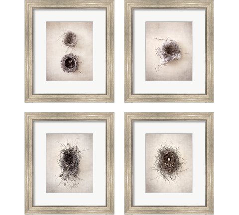 Nest 4 Piece Framed Art Print Set by Debra Van Swearingen