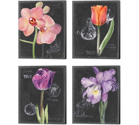 Chalkboard Flower 4 Piece Canvas Print Set by Jennifer Parker