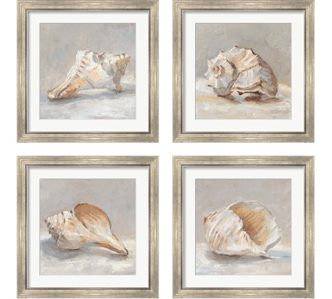 Impressionist Shell Study 4 Piece Framed Art Print Set by Ethan Harper