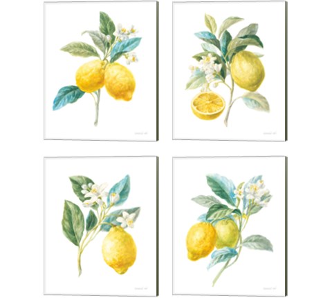 Floursack Lemon on White 4 Piece Canvas Print Set by Danhui Nai