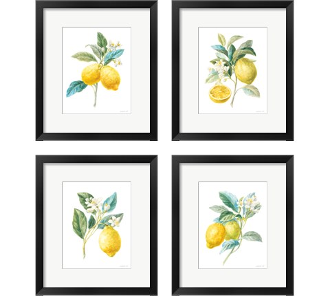 Floursack Lemon on White 4 Piece Framed Art Print Set by Danhui Nai