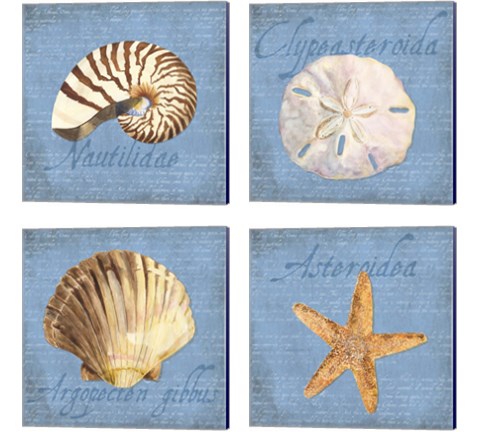 Oceanum Shells Blue 4 Piece Canvas Print Set by Tara Reed