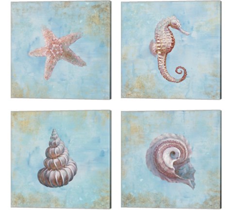 Treasures from the Sea Watercolor 4 Piece Canvas Print Set by Danhui Nai