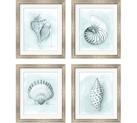 Coastal Shell Schematic 4 Piece Framed Art Print Set by Megan Meagher