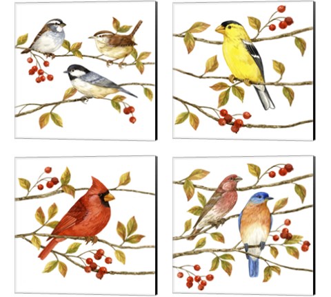 Birds & Berries 4 Piece Canvas Print Set by Jane Maday
