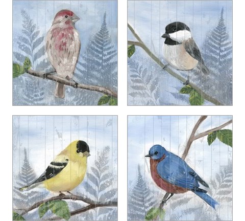 Eastern Songbird 4 Piece Art Print Set by Alicia Ludwig