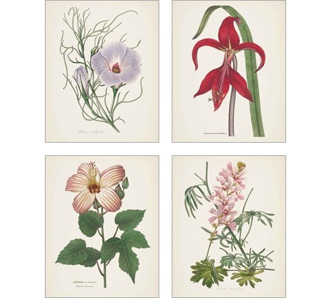 Antique BotanicalCream 4 Piece Art Print Set by Wild Apple Portfolio