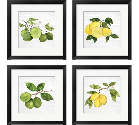Citrus Garden Shiplap 4 Piece Framed Art Print Set by Kathleen Parr McKenna