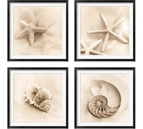 Il Oceano 4 Piece Framed Art Print Set by Alan Blaustein