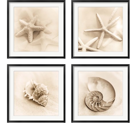Il Oceano 4 Piece Framed Art Print Set by Alan Blaustein