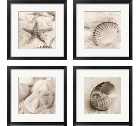 La Mer 4 Piece Framed Art Print Set by Alan Blaustein