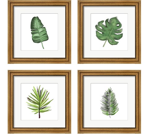Leaves of the Tropics  4 Piece Framed Art Print Set by Hartworks