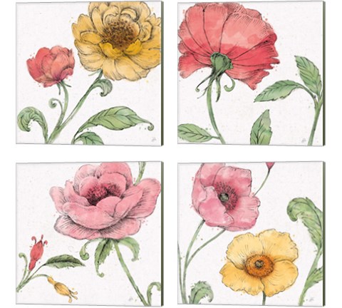 Blossom Sketches Color 4 Piece Canvas Print Set by Daphne Brissonnet