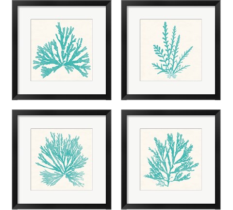 Pacific Sea Mosses Aqua 4 Piece Framed Art Print Set by Wild Apple Portfolio