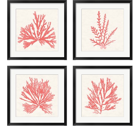 Pacific Sea Mosses Coral 4 Piece Framed Art Print Set by Wild Apple Portfolio