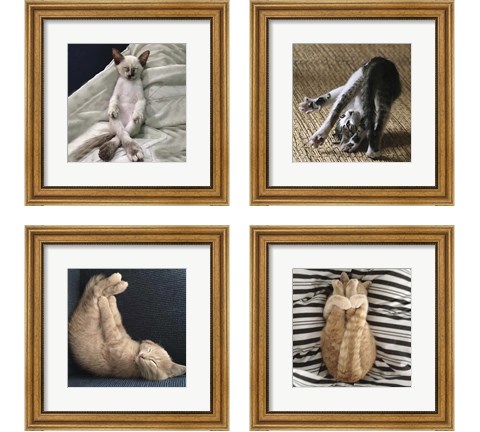 Cat Yoga 4 Piece Framed Art Print Set by R. NOB