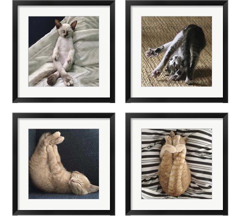 Cat Yoga 4 Piece Framed Art Print Set by R. NOB