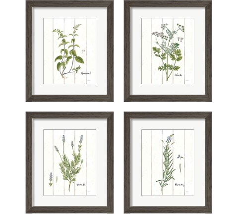 Cottage Herbs 4 Piece Framed Art Print Set by Sue Schlabach