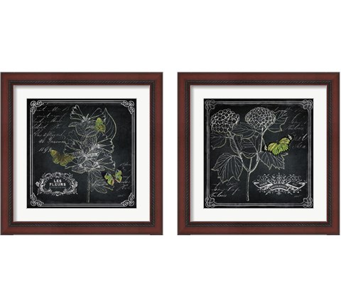 Chalkboard Botanical 2 Piece Framed Art Print Set by Katie Pertiet