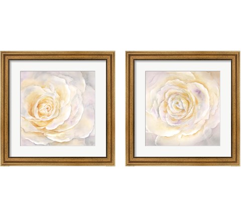Watercolor Rose Closeup 2 Piece Framed Art Print Set by Cynthia Coulter