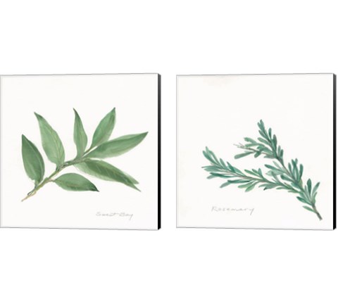 Herbs 2 Piece Canvas Print Set by Chris Paschke