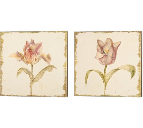 Vintage Tulip 2 Piece Canvas Print Set by Cheri Blum
