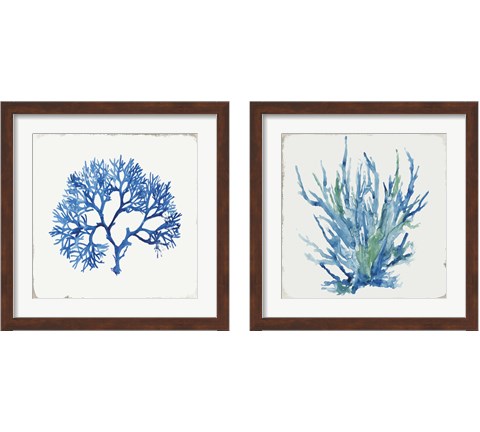 Blue and Green Coral  2 Piece Framed Art Print Set by Aimee Wilson