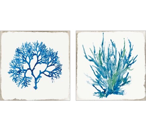 Blue Coral 2 Piece Art Print Set by Aimee Wilson
