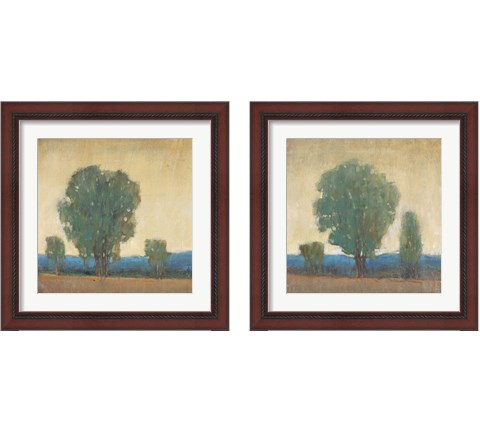 Clearing Storm 2 Piece Framed Art Print Set by Timothy O'Toole