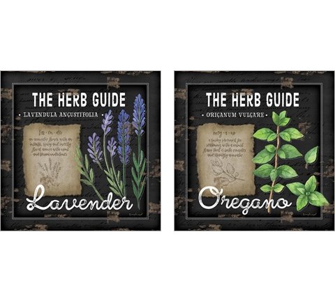 Herb Guide 2 Piece Art Print Set by Jennifer Pugh