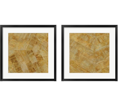 Gilded Herringbone 2 Piece Framed Art Print Set by Chris Paschke