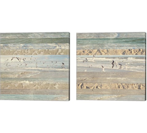 Flying Beach Birds 2 Piece Canvas Print Set by Dan Meneely