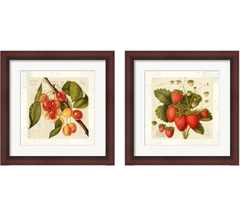 Cerises 2 Piece Framed Art Print Set by Remy Dellal