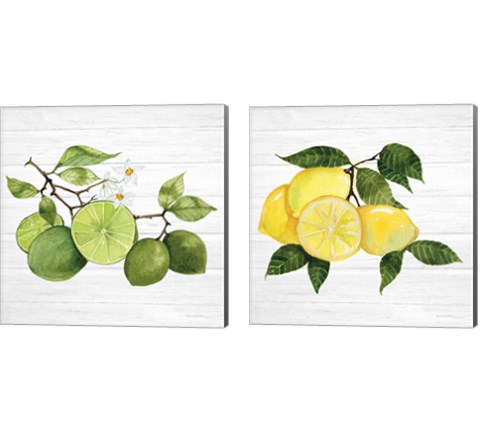 Citrus Garden Shiplap 2 Piece Canvas Print Set by Kathleen Parr McKenna