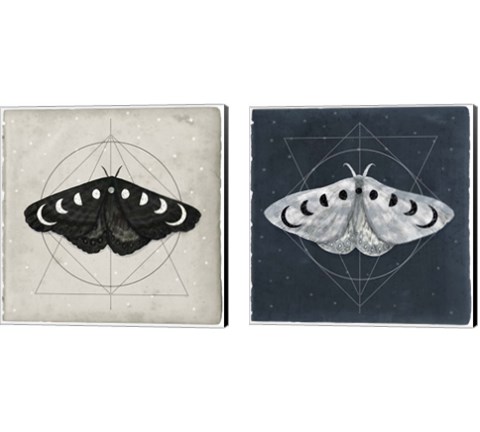 Midnight Moth 2 Piece Canvas Print Set by Victoria Borges