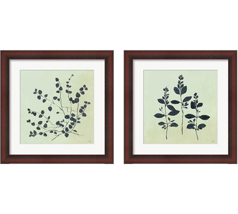 Botanical Study Sage 2 Piece Framed Art Print Set by Julia Purinton