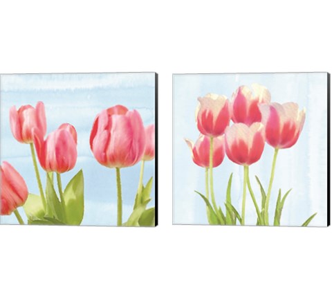 Fresh Spring Tulips 2 Piece Canvas Print Set by Bluebird Barn