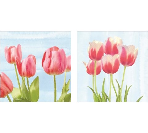 Fresh Spring Tulips 2 Piece Art Print Set by Bluebird Barn