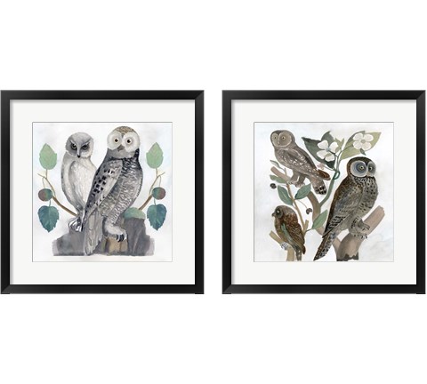Traditional Owls 2 Piece Framed Art Print Set by Stellar Design Studio