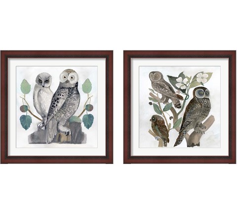 Traditional Owls 2 Piece Framed Art Print Set by Stellar Design Studio