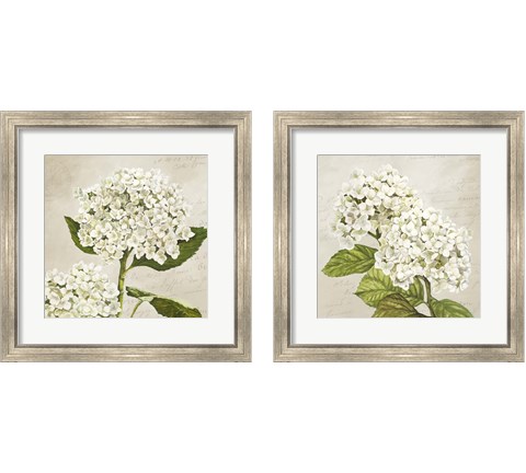 Hydrangeas  2 Piece Framed Art Print Set by Remy Dellal